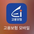 실업급여 신청방법, 후기, 고용센터 방문 전 체크사항