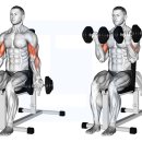 밸런스짐 PT 헬스 이미지