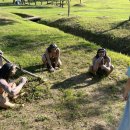 선사유적지 전시관 1층 이미지