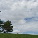 뭉개뭉개 이미지