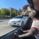 죽림낚시터 이미지