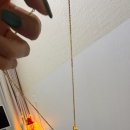 부산하나이비인후과의원 | 편도절제술 해버림