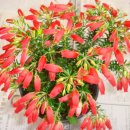 원터농장 이미지