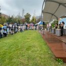 도란유치원 이미지