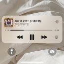 오쑨도쑨 네이버블로그