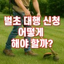 벌초 대행 신청, 어떻게 해야 할까?