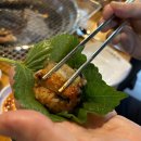 한가네숯불닭갈비 고덕점 | 평택맛집 탐방: 한가네숯불닭갈비 고덕1호점에서의 맛있는 경험