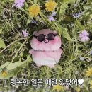 세종모터스 이미지
