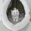 동두천-045 이미지