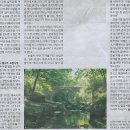 E/ 최갑수의 작은 마을 여행/ 전남 순천/ 정원마을·국가정원 지나 선암사 숲길까지 걸으면(민중이 깨어나야 나라가 바로 선다) 이미지