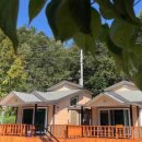 청송나무집 이미지