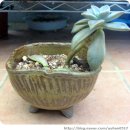 비학농장 이미지