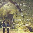 진양미용실 - 고성군 | 진양미용실
