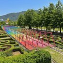 곡리농장 | 전남 5월 가볼만한 곳 2024 곡성세계장미축제 주차장, 입장료, 먹거리 안내 및 후기 24.05.16