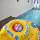 프랜치캣펜션 이미지