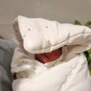 베스트산후조리원 | [호산산후조리원 VIP실 후기] 내돈내산 솔직후기+장단점 (ft. 식사, 마사지, 꿀팁, 준비물, 프로그램)