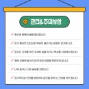 야탑서울안과의원 이미지