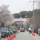 24/04/06 제8회 여주 흥천면 남한강 벛꽃 축제 이미지