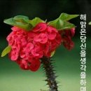 정들면