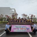 애월사랑 이미지