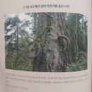 한양에너지 주식회사 | "비트코인 없는 미래는 없다" 독서 후기 - 비트코인의 철학적 사유