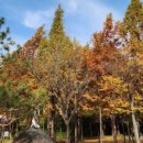 갈산목장 이미지