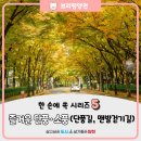 구청 남측광장 | 한 손에 쏙 시리즈(5) - 즐거운 단풍·소풍(단풍길, 맨발걷기길)