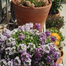 벌교민박게스트하우스 이미지