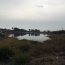 아방궁 클럽 이미지