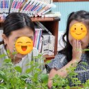 배바우농장 이미지