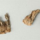 남원 월산리 고분군 이미지