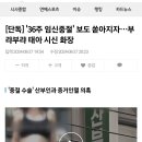 리얼엽기) 주작이다 아니다 커뮤니티를 뜨겁게 달궜던 36주 임신중절 브이로그 관련 어제자 드디어 밝혀진 진실 ㄷㄷㄷ 이미지