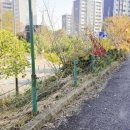 광영 골프연습장 이미지