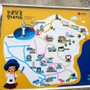 논골담길1 | 묵호여행 알찼던 하루코스 일정(+여행후기+논골담길+여행책방 잔잔하게)