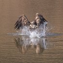 우곡식당 이미지