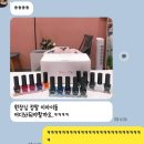 노퐁뷰티 이미지