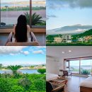 pet02더6851 | 제주 한달살기 제주도 애견동반 애월 한달살기 숙소