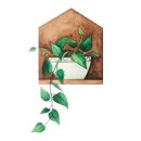 카페 카사페 연세대점