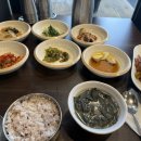 스텐셜핏 이미지