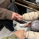 팜앤팜동물병원 | 21개월 아기와 함께하는 제주 3박 4일🌴