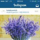 에버리치트레이드 이미지