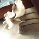 홍주중고등학교 이미지