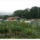 삼각산농장 이미지