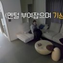 귀인스튜디오