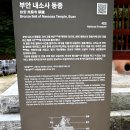 (주)대웅트레이드 본사 | 부안 내소사.제주 상사화(노랑상사화)