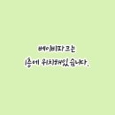 (주)엔픽 | [ 줄즈 정품 등록 방법 ] 정품 엔픽스몰 vs 병행수입 엔픽몰