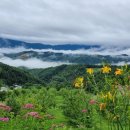 자운농장 이미지