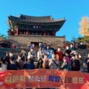 법인다정 이미지