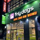 마이독스 | 부산 애견용품점 대연 마이독스 솔직후기 !!! ⭐️⭐️