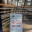 4월 25일 강원도 원주 소금산 트래킹을 공지합니다.~** 이미지